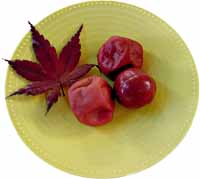 [umeboshi.jpg]