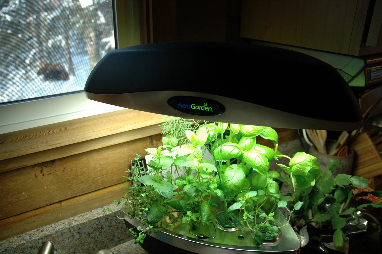 [aerogardenwmoose.JPG]