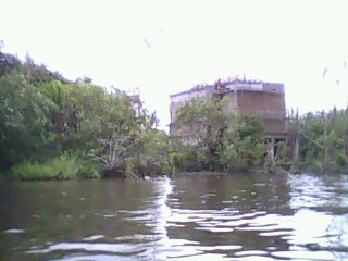 rumah walet