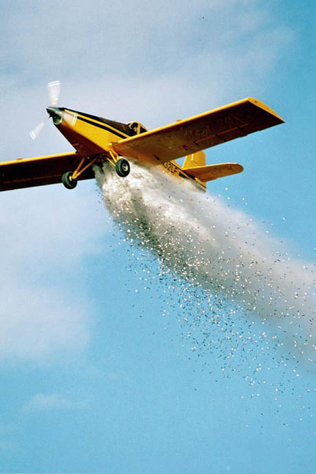 dating site introduction message examples