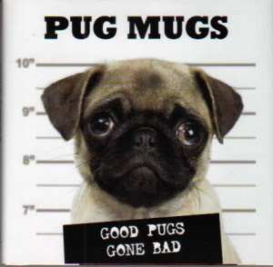 pug mmo ectmmo mmo the adventures of kaozz wow pug new dungeon system pug mmo ectmmo mmo the adventures of kaozz wow pug new dungeon system