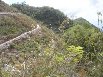 Haiti erosion control