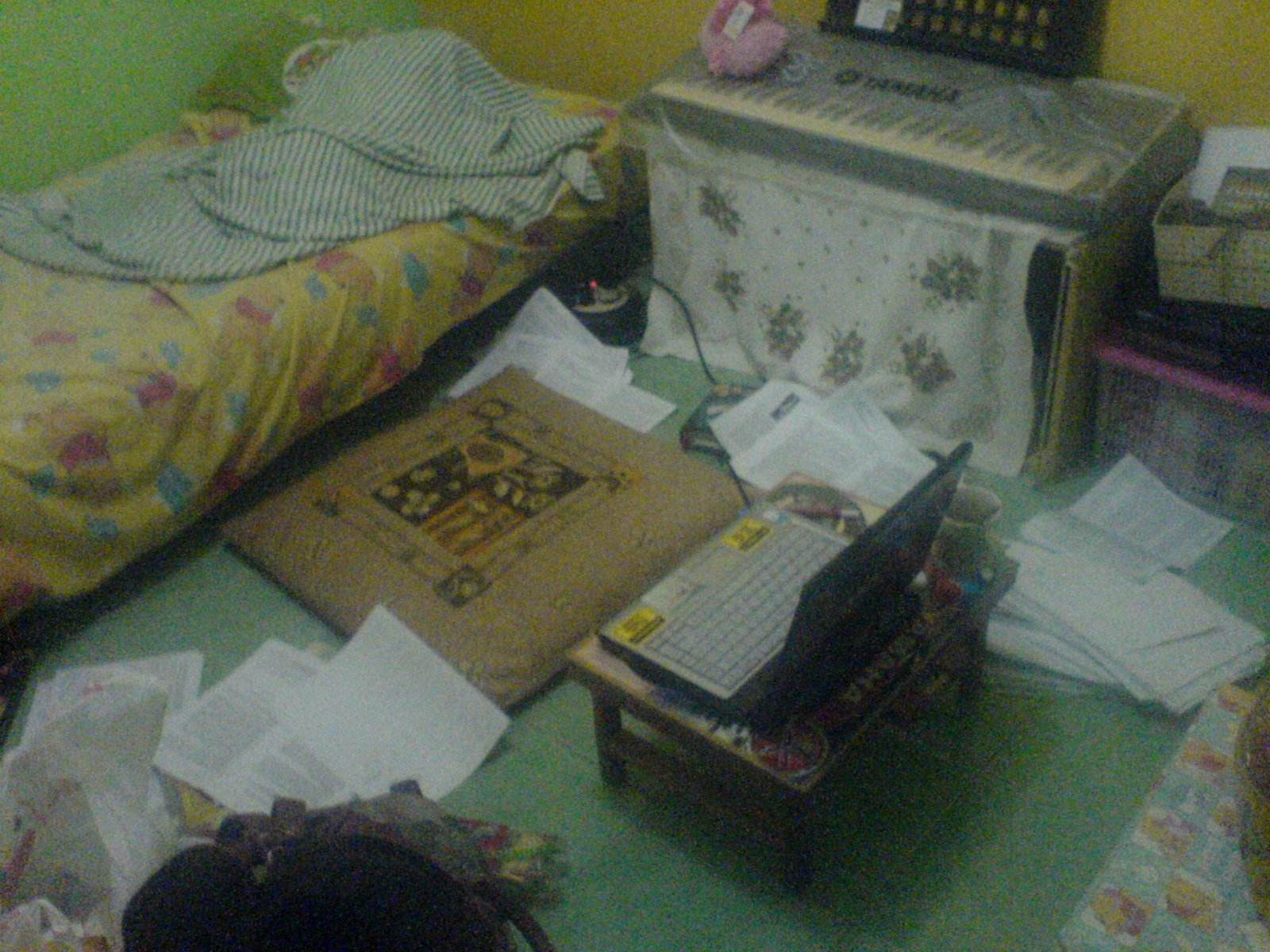 [DSC01043.JPG]