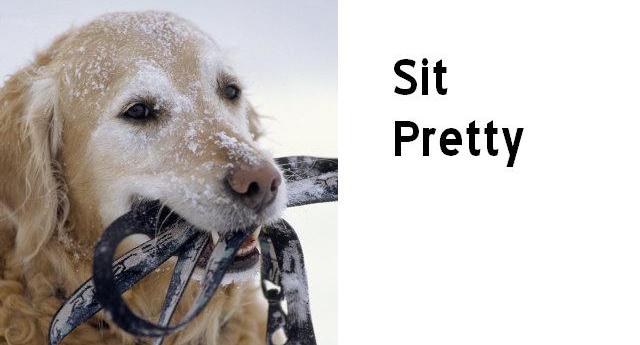 Sit Pretty