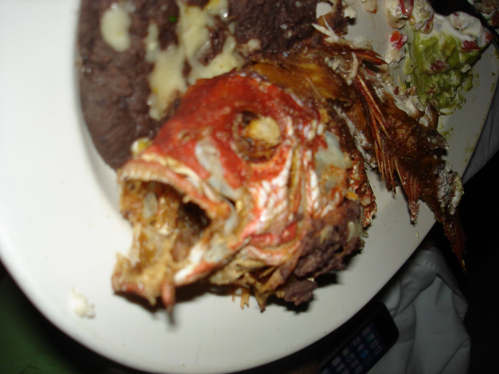[DSC06343.JPG]