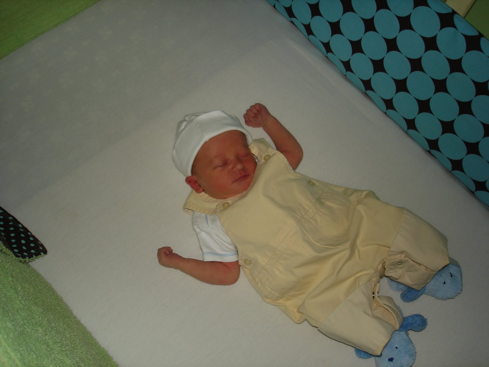 [DSC02245.JPG]