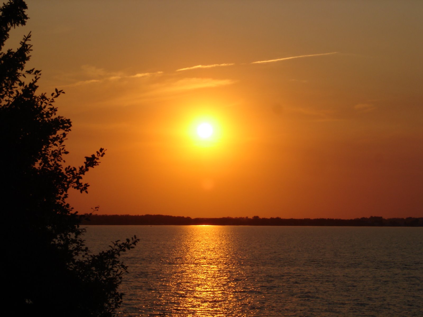 [DSC05185.JPG]