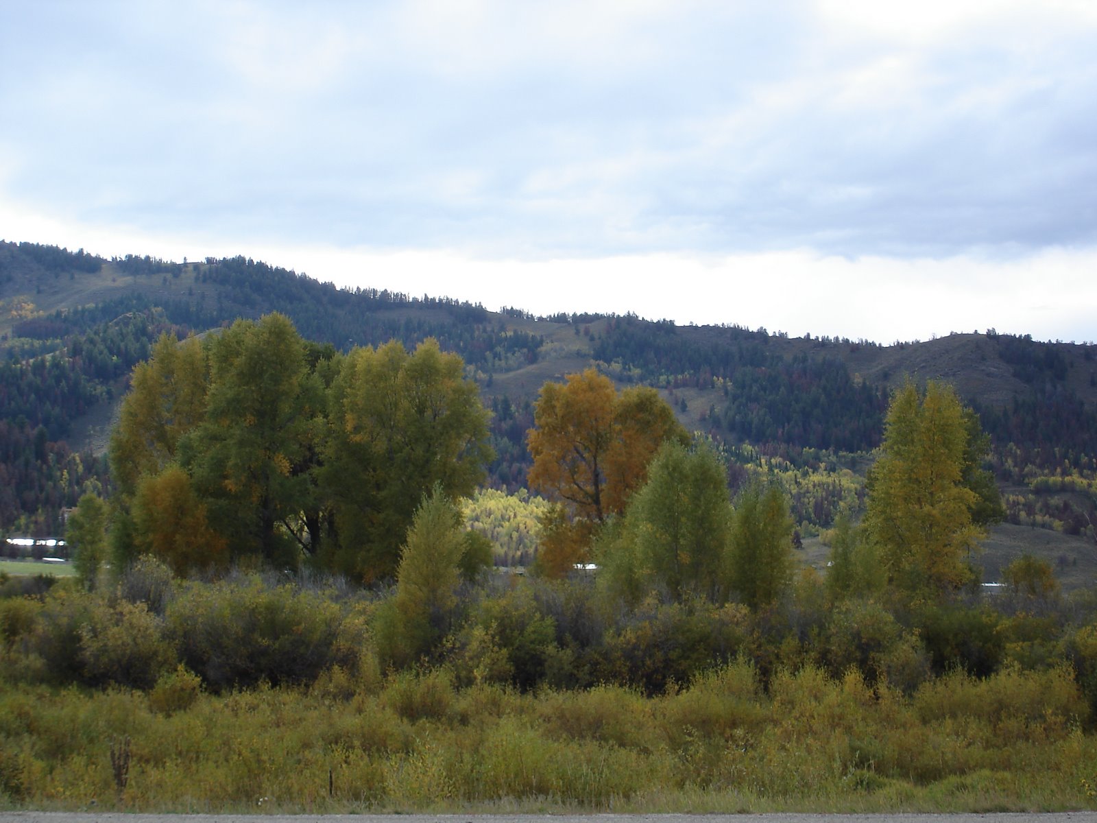 [DSC05671.JPG]