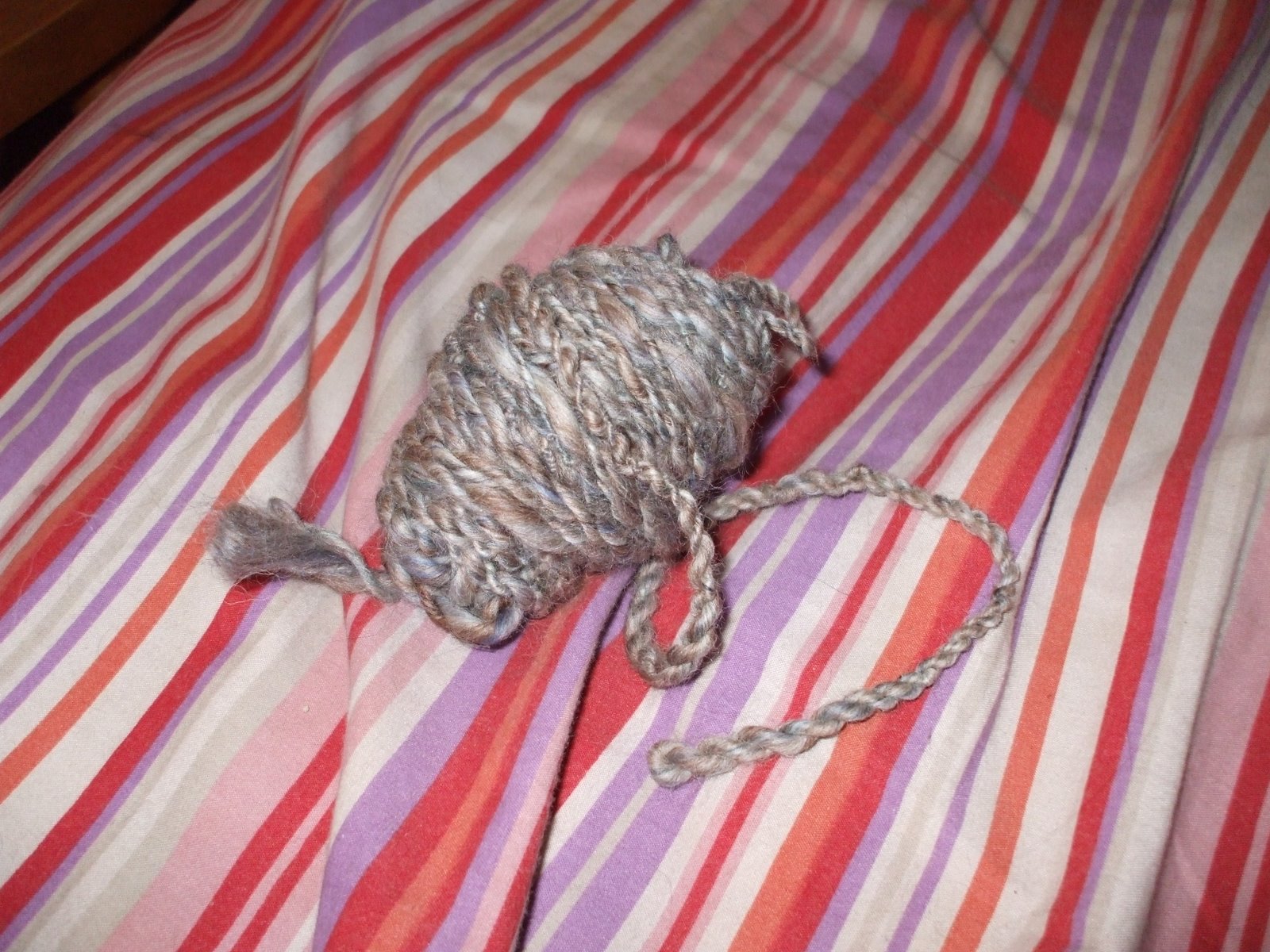 [DSCF0902.JPG]