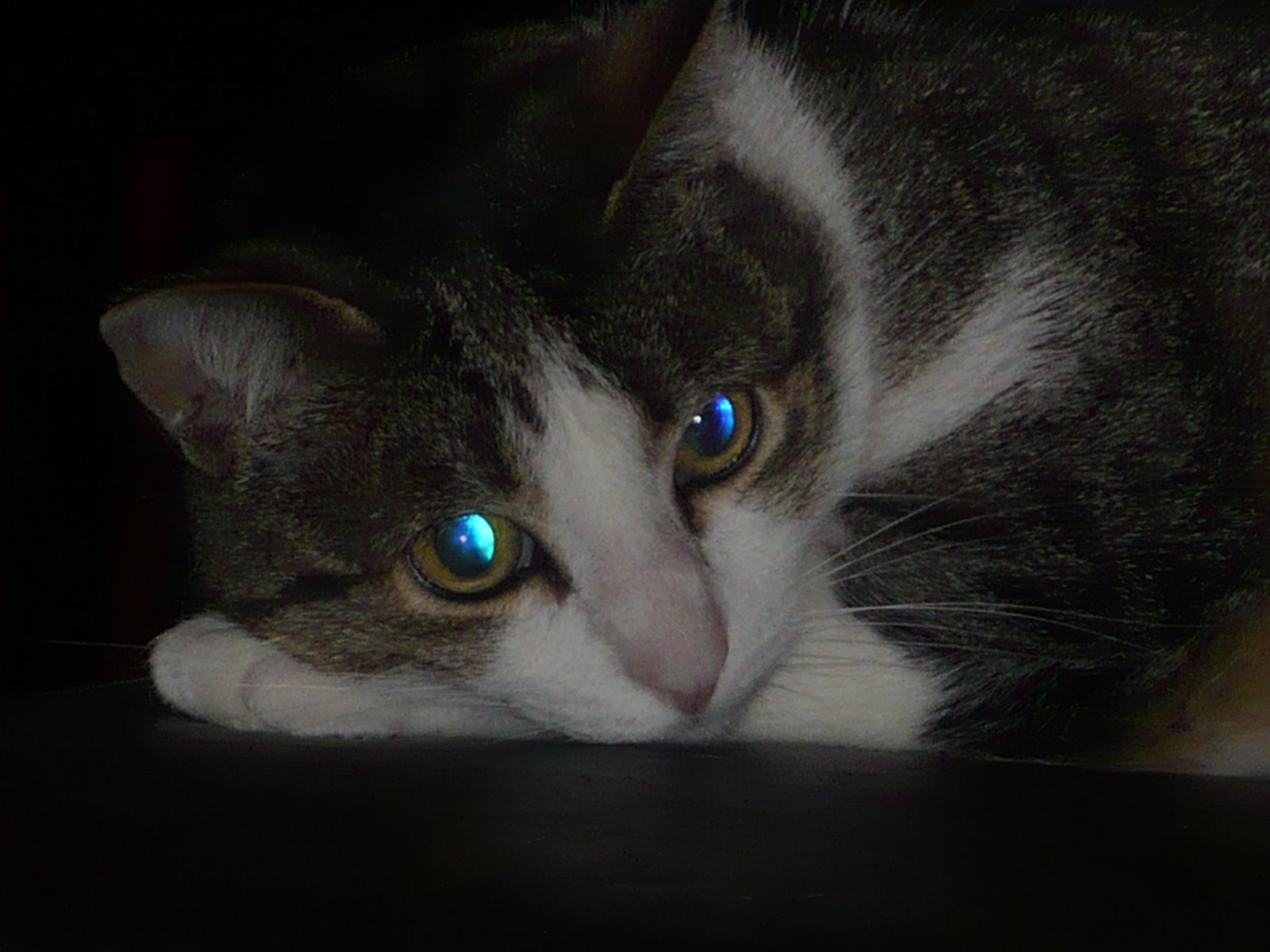 [P1020787.JPG]