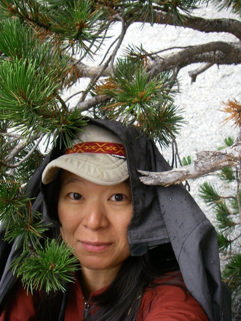 [IMGP0737otated.jpg]