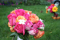 [211528157_ec647989a1_m.jpg]