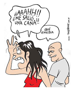 La Caída Del Cabello ¿Qué hacer? La Caída Del Cabello ¿Qué hacer?