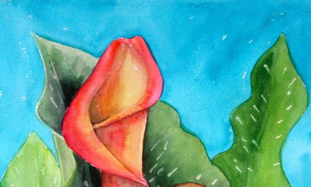 Still Coloring Out Of The Lines: Flame Calla Lily