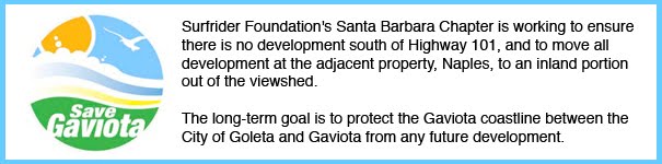 Save Gaviota