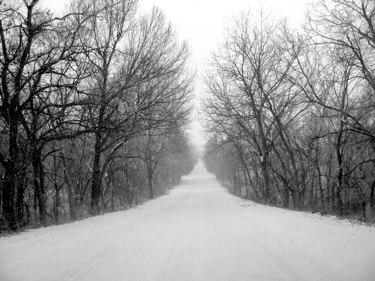 Fotos De Nieve