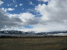 mountains with snow