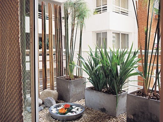 Concept Studio :::::::::: JARDIN EN EL BALCON