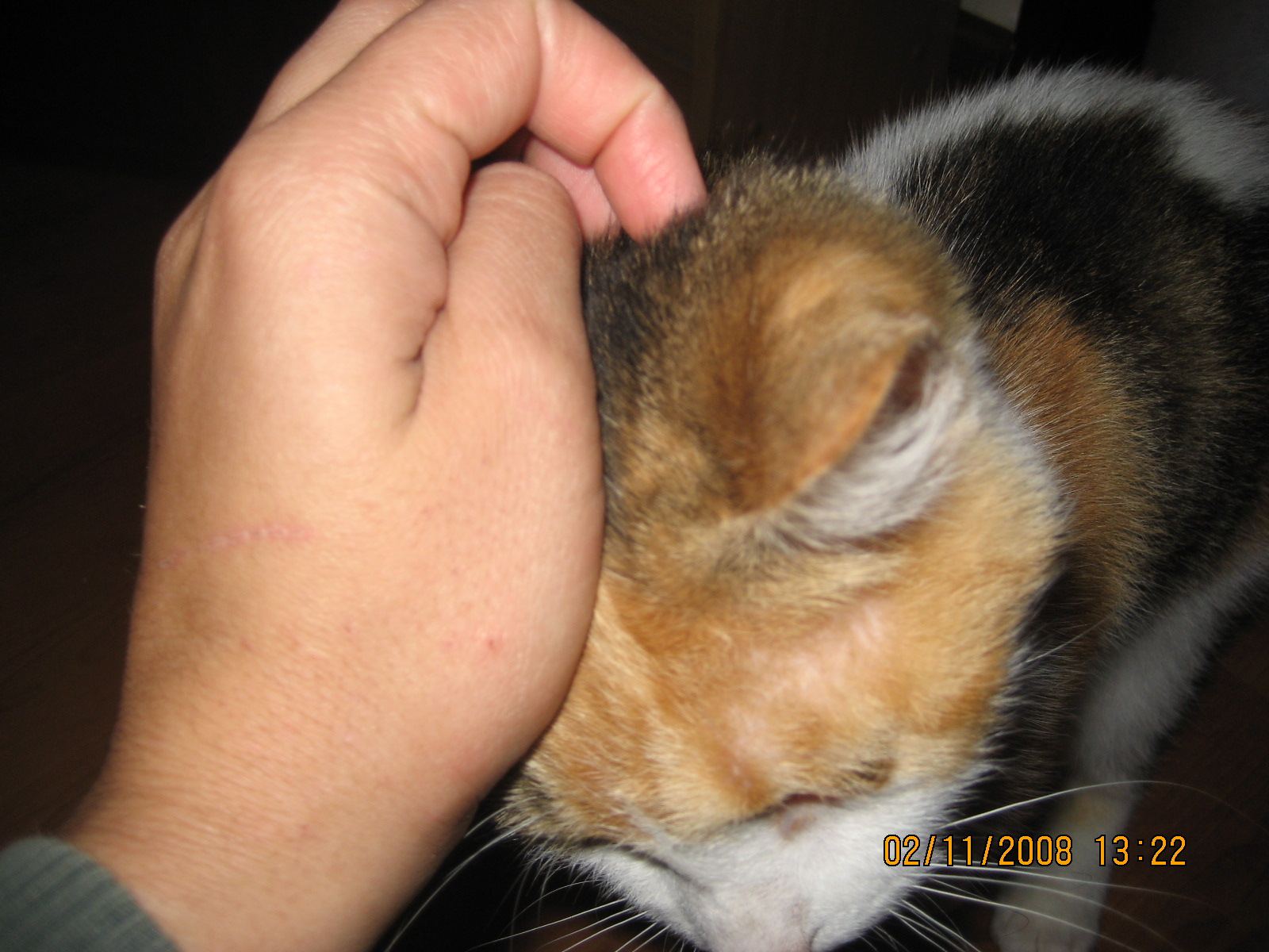 [IMG_4136.JPG]