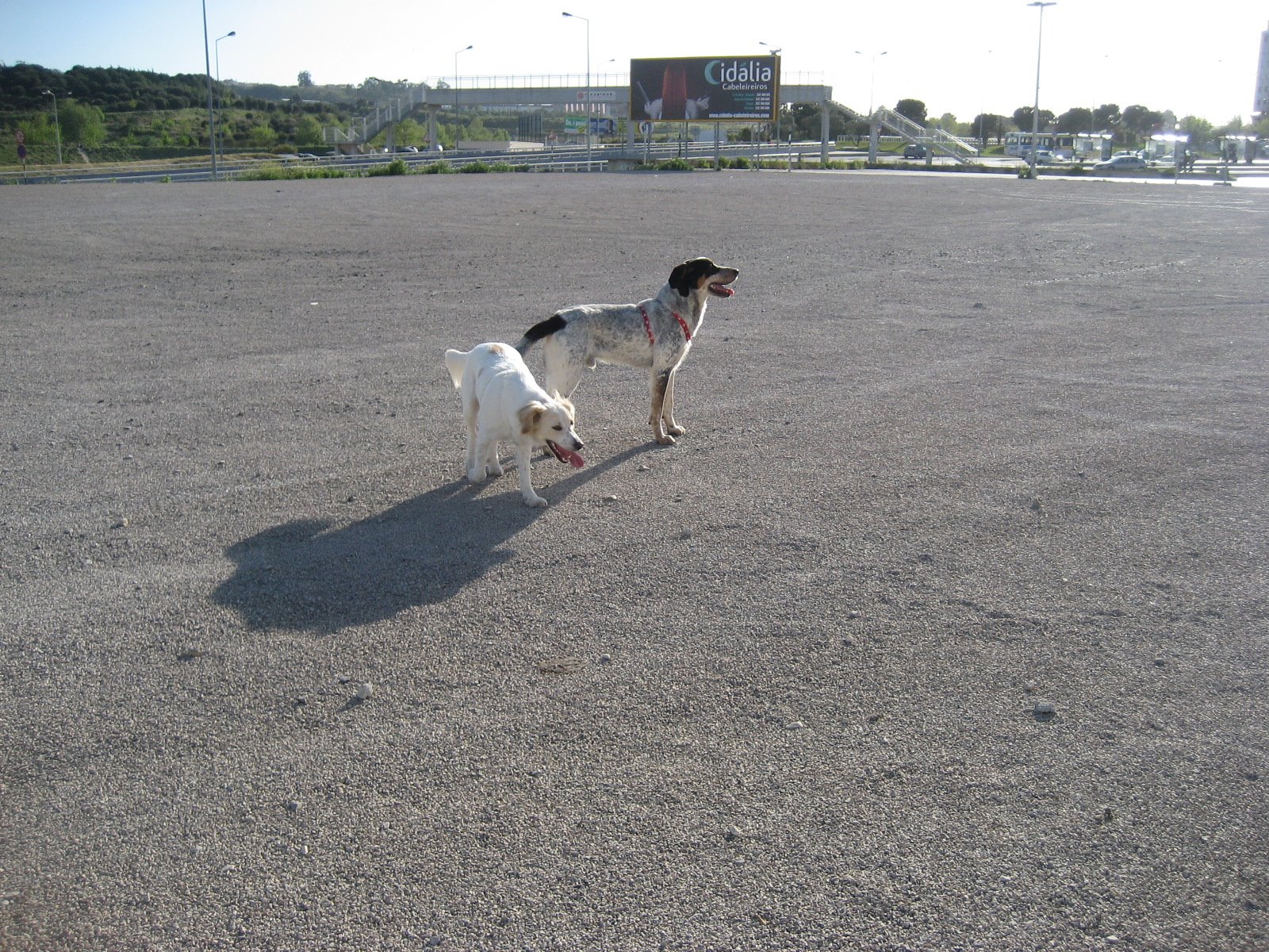 [IMG_5612.JPG]