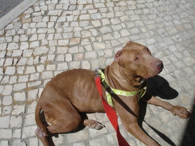 [DSC04534.JPG]