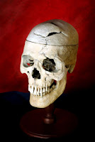 alma - A alma e o cérebro BrainSkull