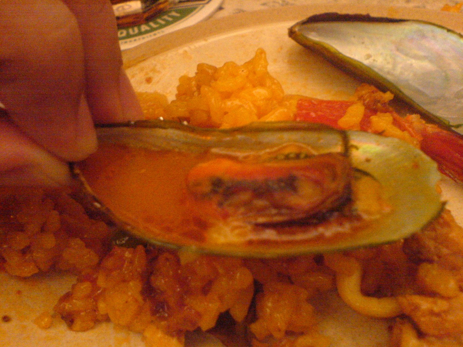 [DSC06797.JPG]