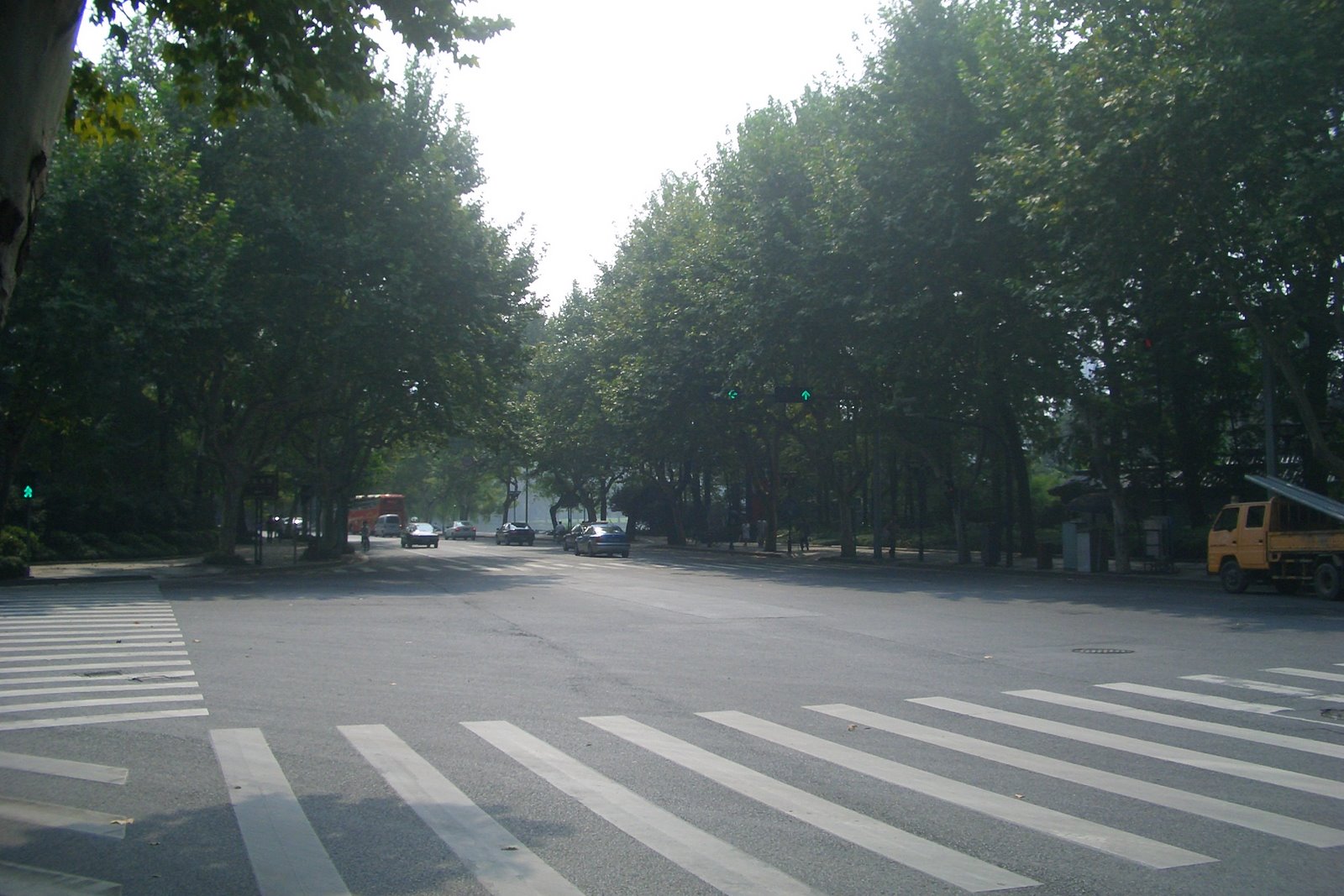 [CIMG9746.JPG]