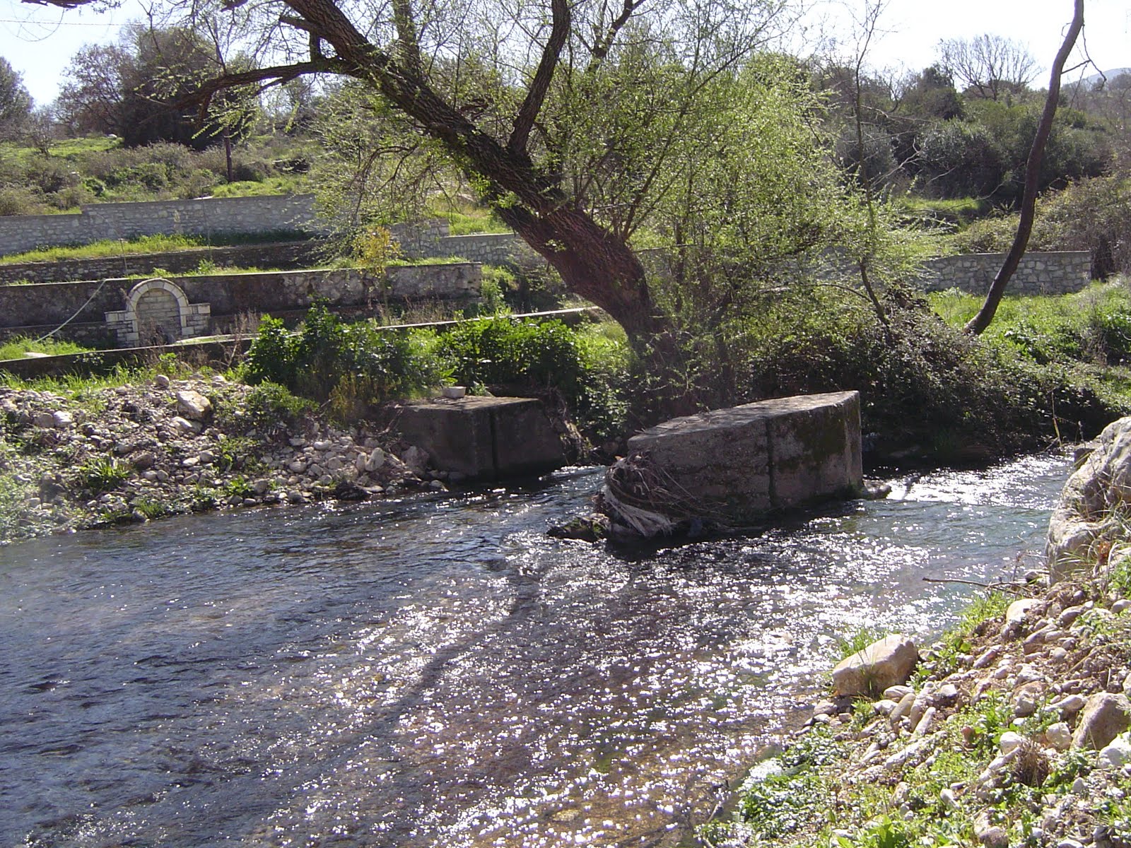 [DSC03124.JPG]