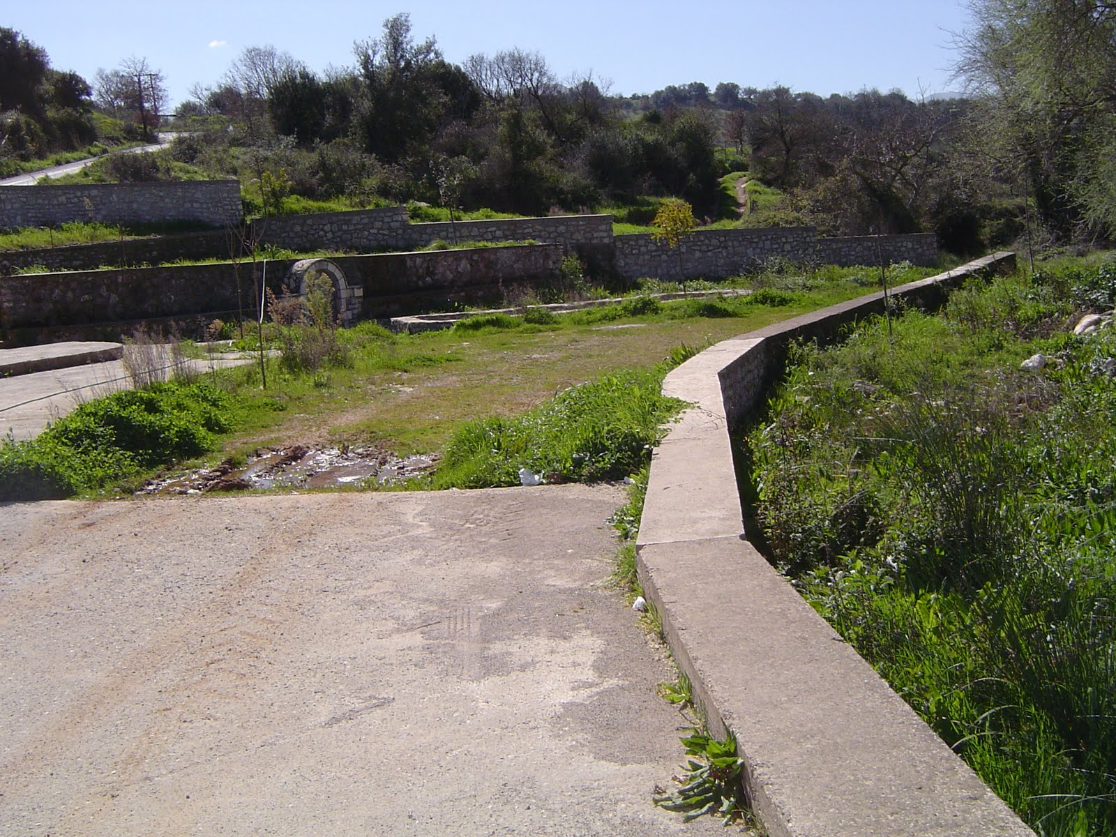 [DSC03127.JPG]