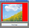 [Draw+Image+on+RichTextBox.gif]