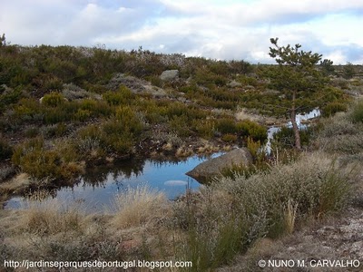 [SERRA_DA_ESTRELA_PORTUGAL_8.jpg]