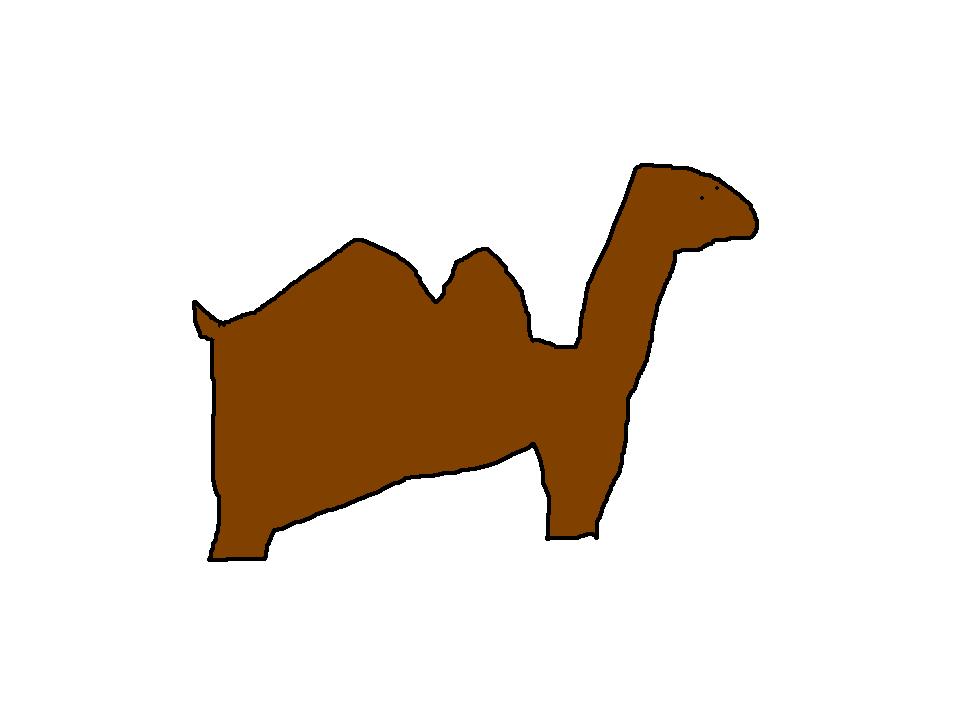 [camel.JPG]