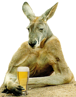 kangaroo+drinking+beer.gif