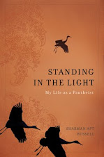 Standing in the Light