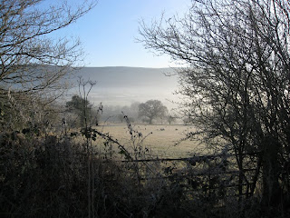 A misty country scene