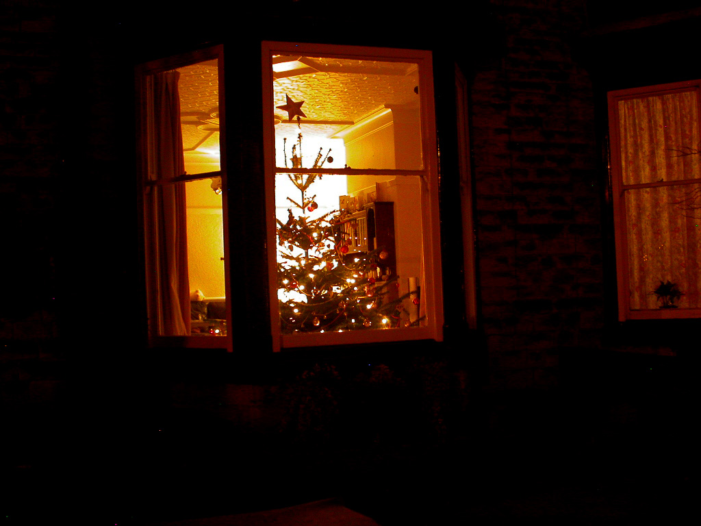 [christmas+tree03.JPG]