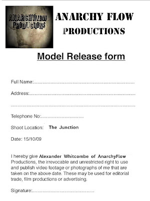 alexander music video model release forms release form for video