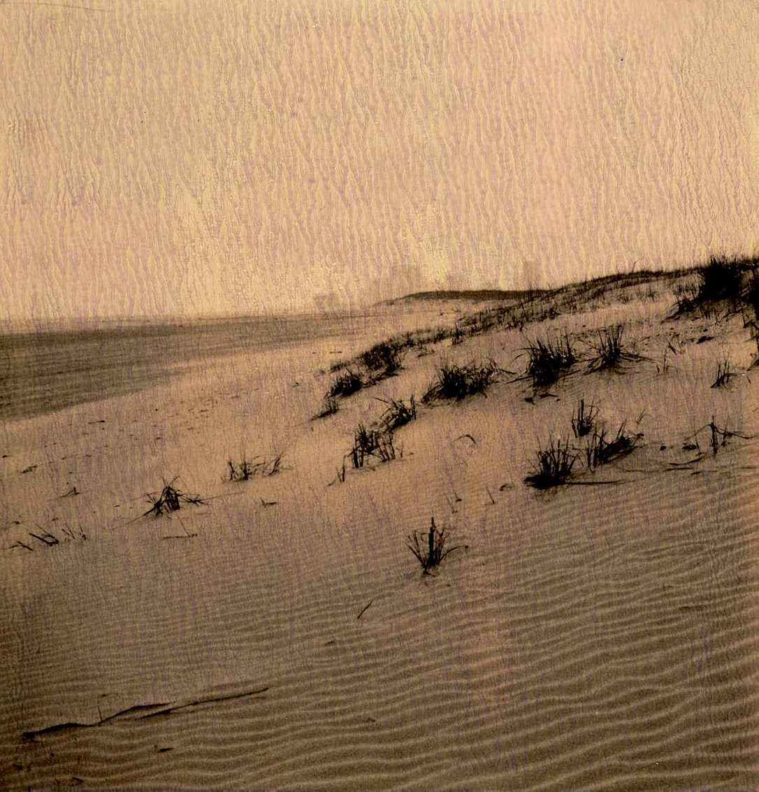 [AtlanticCityChocolatePola1.jpg]