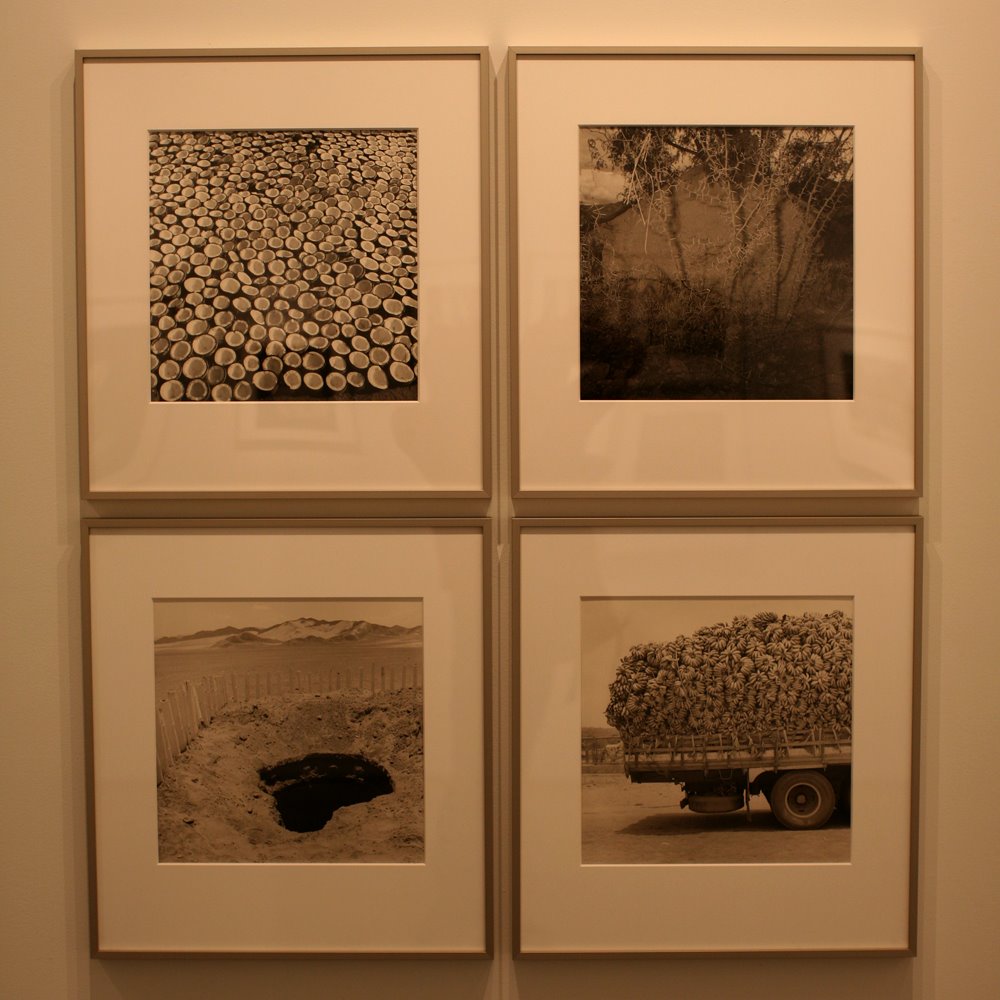 [RosalindSolomon_Silverstein_1000.jpg]