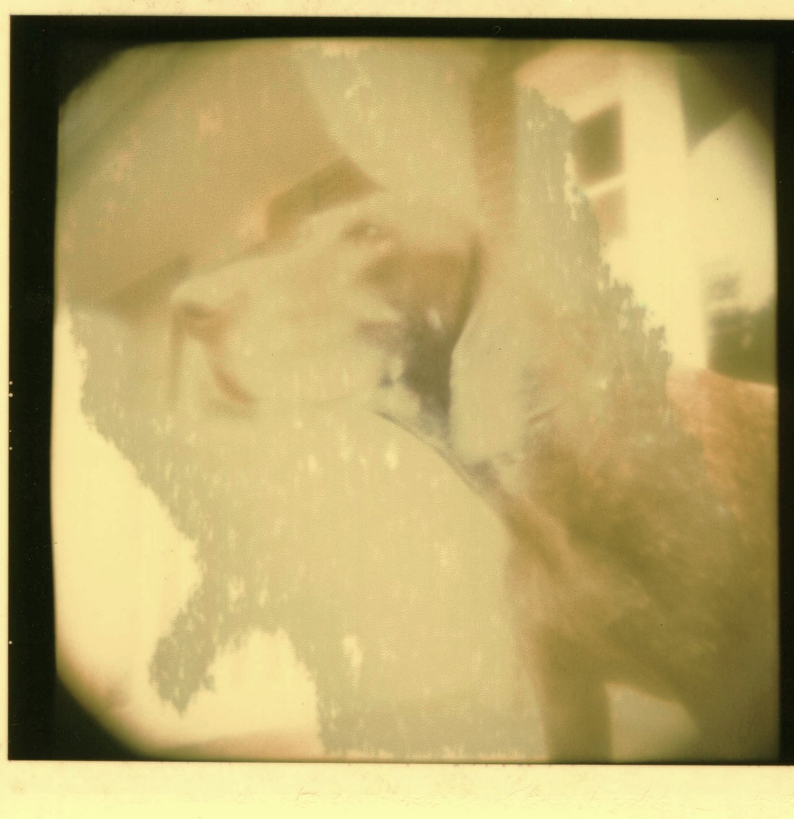 [dutchonholga2.jpg]