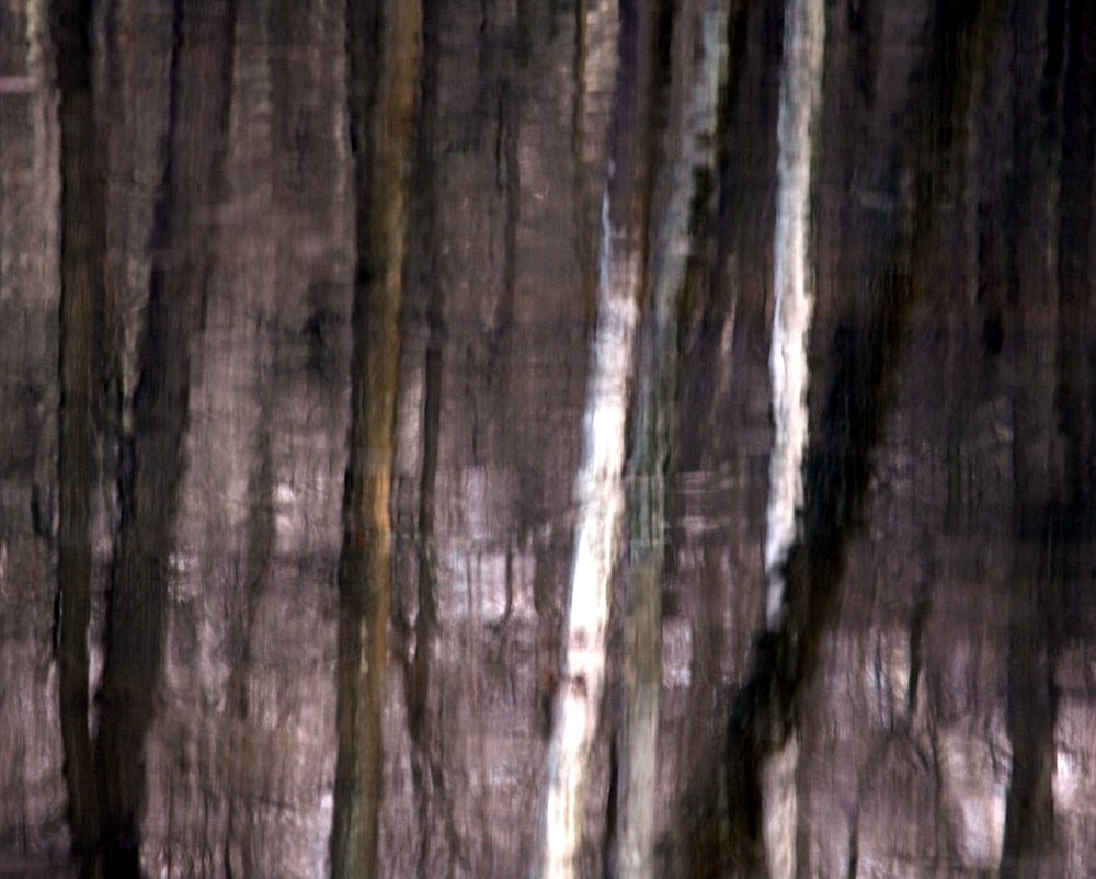 [2172072391_fc0f042b86_o.jpg]