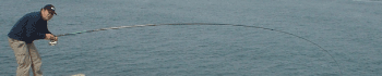 [image1-sergio-web.gif]