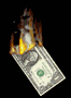 [burningdollar-vid.gif]