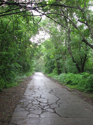 Sanjay Gandhi national park