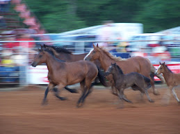 PRC Rodeo in San Augustine, TX