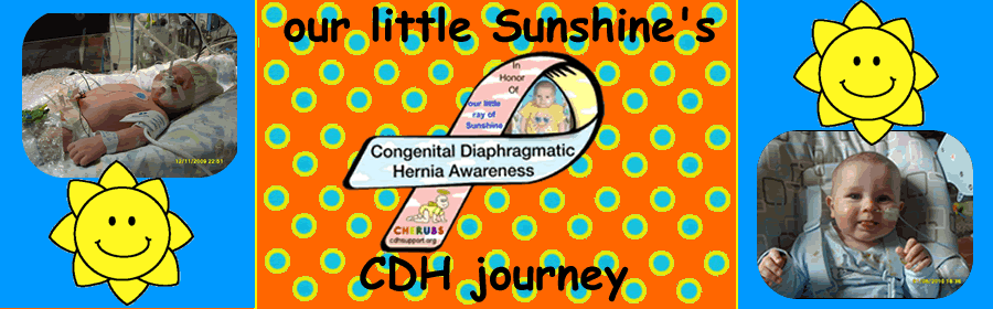 Our Little Sunshine's CDH Journey