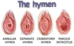http://4.bp.blogspot.com/_MjLFrlB47RE/TQqqc2Oy9NI/AAAAAAAAADM/oCvcdNpOm2M/s1600/jenis-hymen.jpg
