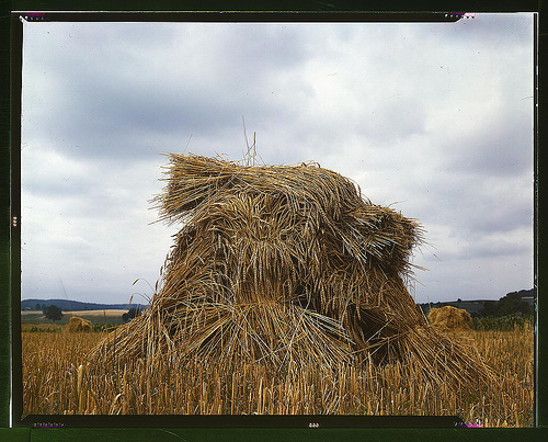 [unknown-19.jpg]