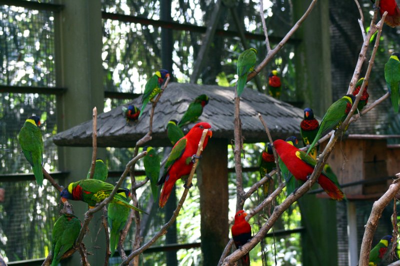 [IMG_4536.JPG]